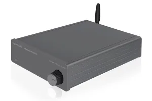 HoloHome StreamerAmp Pro 1