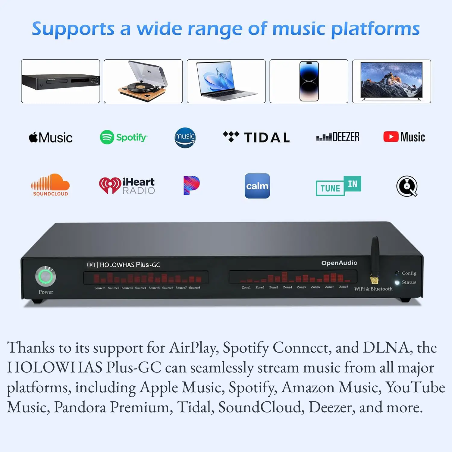 HOLOWAHS Plus GC Multiroom Streaming Amplifier 2