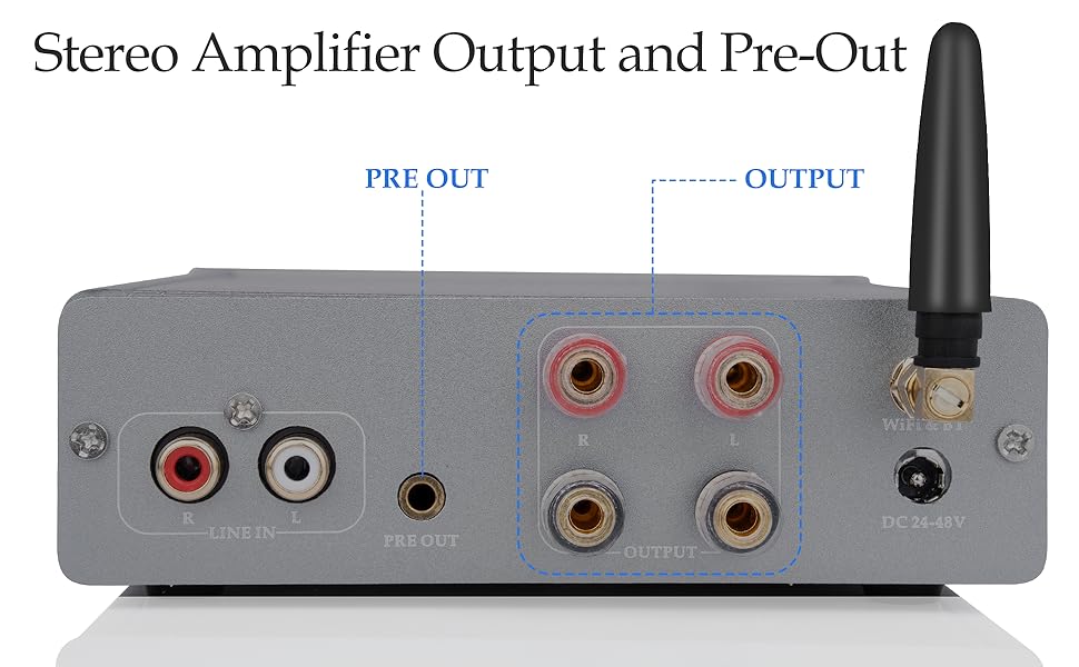 HoloHome StreamerAmp Pro 4