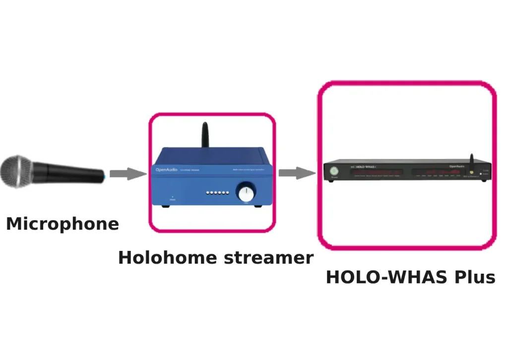 holowhas max (1)