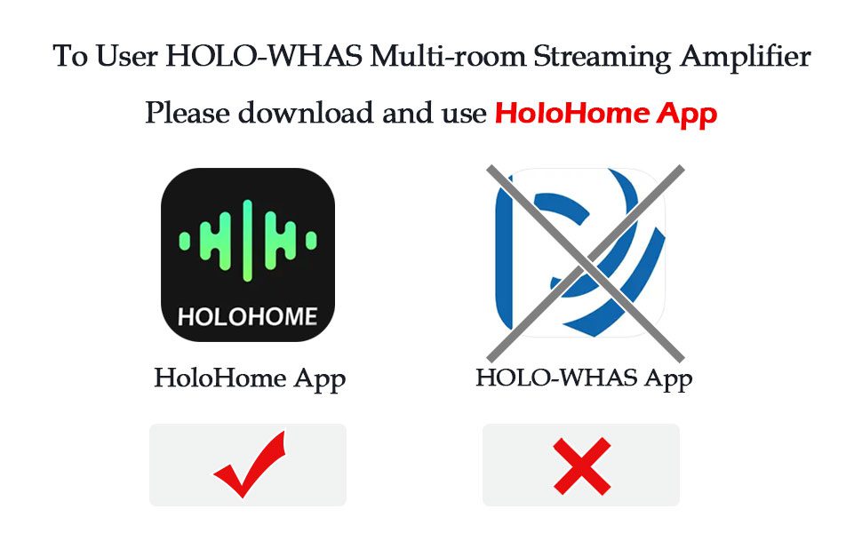 holowhas1